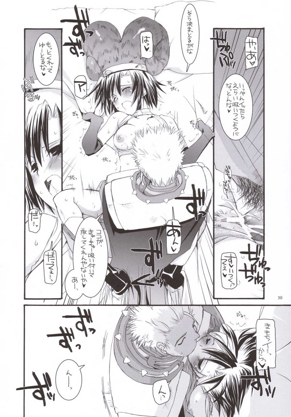 (C69) [Digital Lover (Nakajima Yuka)] D.L. action 33 (Ragnarok Online) - Page 29