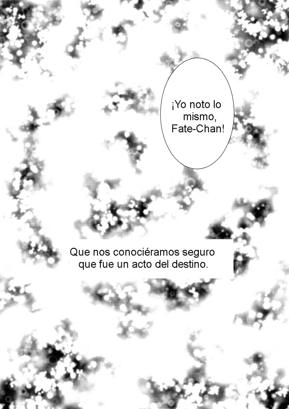 (C83) [Ameiro (Nanashiki)] Hatsu Yoru. (Mahou Shoujo Lyrical Nanoha) [Spanish] [Biblioteca Yuri HHH] - Page 29