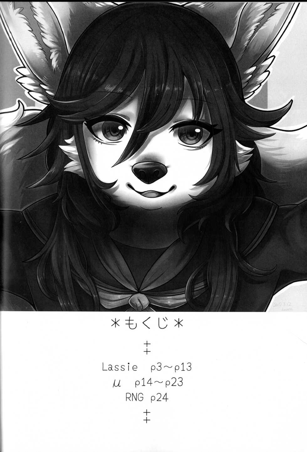 (Kemoket 6) [Lomelette (Lassie, RNG)] Private Love [Decensored] - Page 3