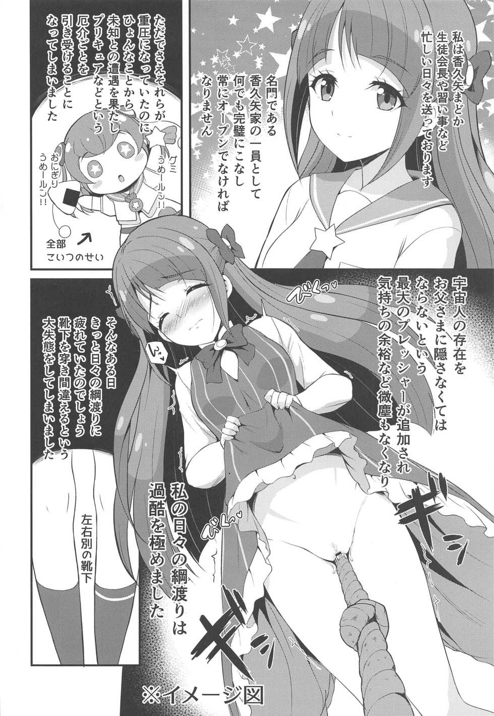 (C96) [MISSING PARK (Chisato)] Dokoka Okashii!? Kaguya-ke no Himitsu (Star Twinkle PreCure) - Page 3