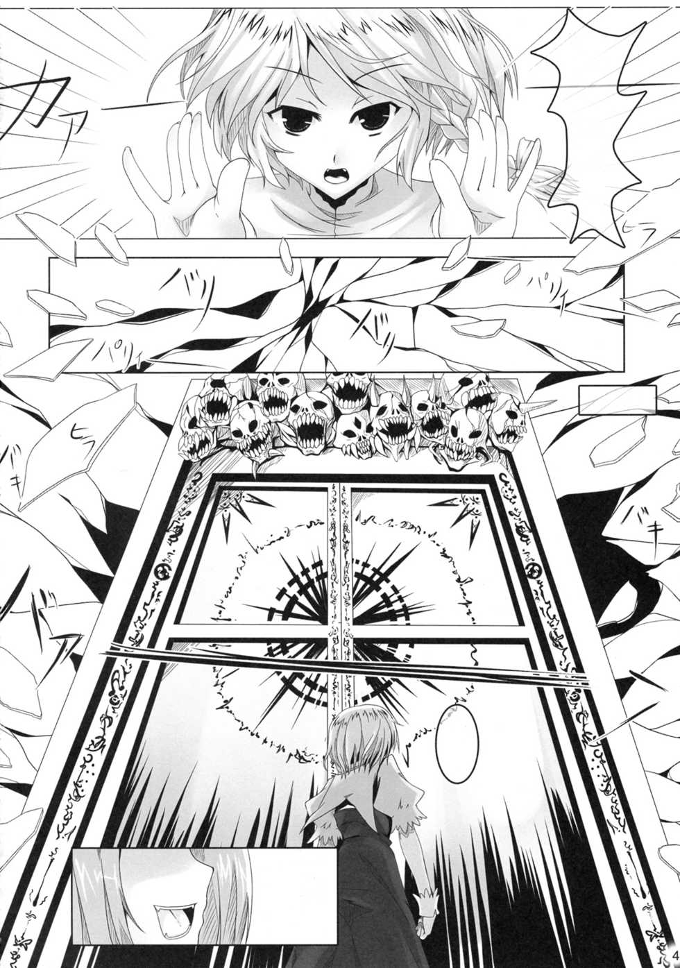 (C76) [barista (Kirise Mitsuru)] Schrodinger (Touhou Project) [Textless] - Page 3