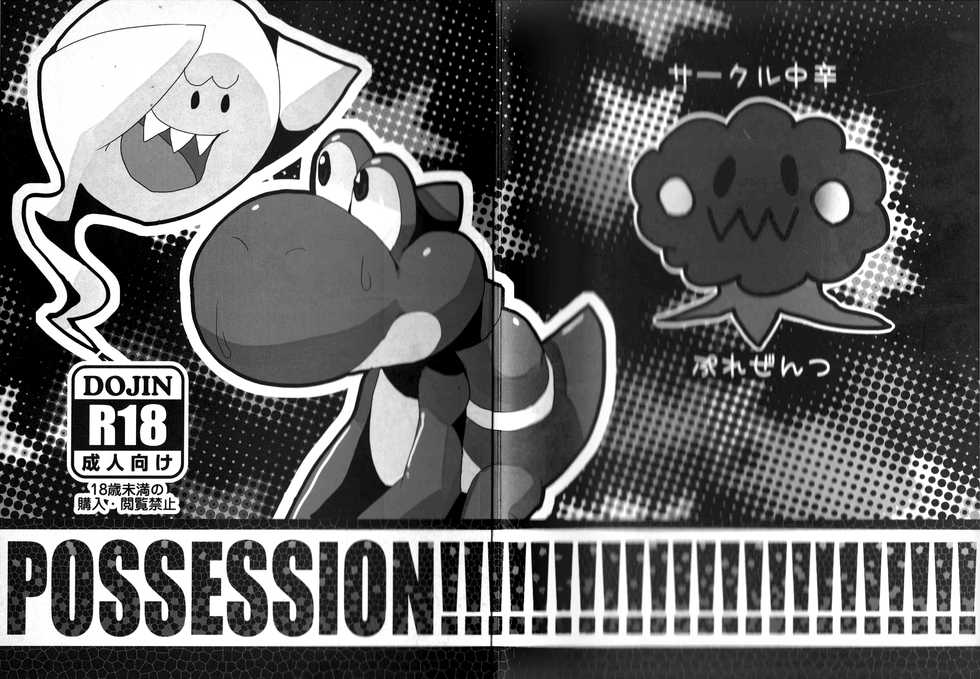 (Fur-st 3) [Chuu kara (Shiro)] POSSESSION!!! (Super Mario Brothers) [Chinese] [尾窝汉化组] - Page 24
