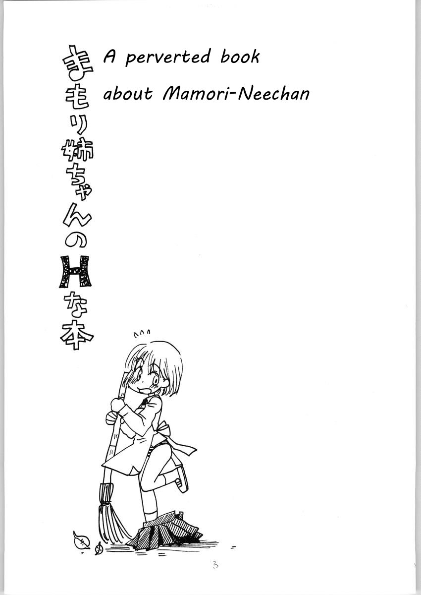 (C65) [TENKAICHI BABY'S (BENNY'S, Inomoto Rikako)] Mamori Nee-chan no H na Hon | A perverted book about Mamori-neechan (Eyeshield 21) [English] [EHCOVE] - Page 2