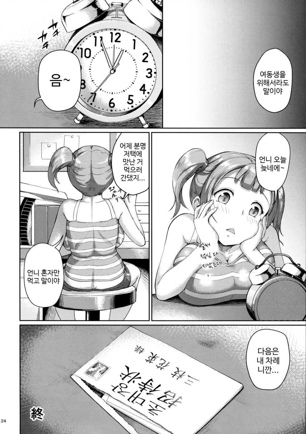 (COMIC1☆11) [Zetsubou Shiromuji (Shousan Bouzu)] Oyashiki no Hi | 저택의 날 [Korean] - Page 23