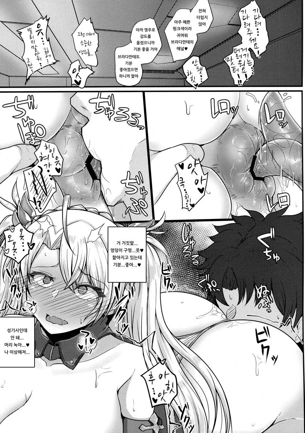 (COMIC1☆15) [Ryousangata Ponyta (Takanotume)] Bradamante ga Oshiri de OnaSuppo Suru Hon | 브라다만테가 엉덩이로 자위 서포트하는 책 (Fate/Grand Order) [Korean] [아이카츠! 갤러리] - Page 12