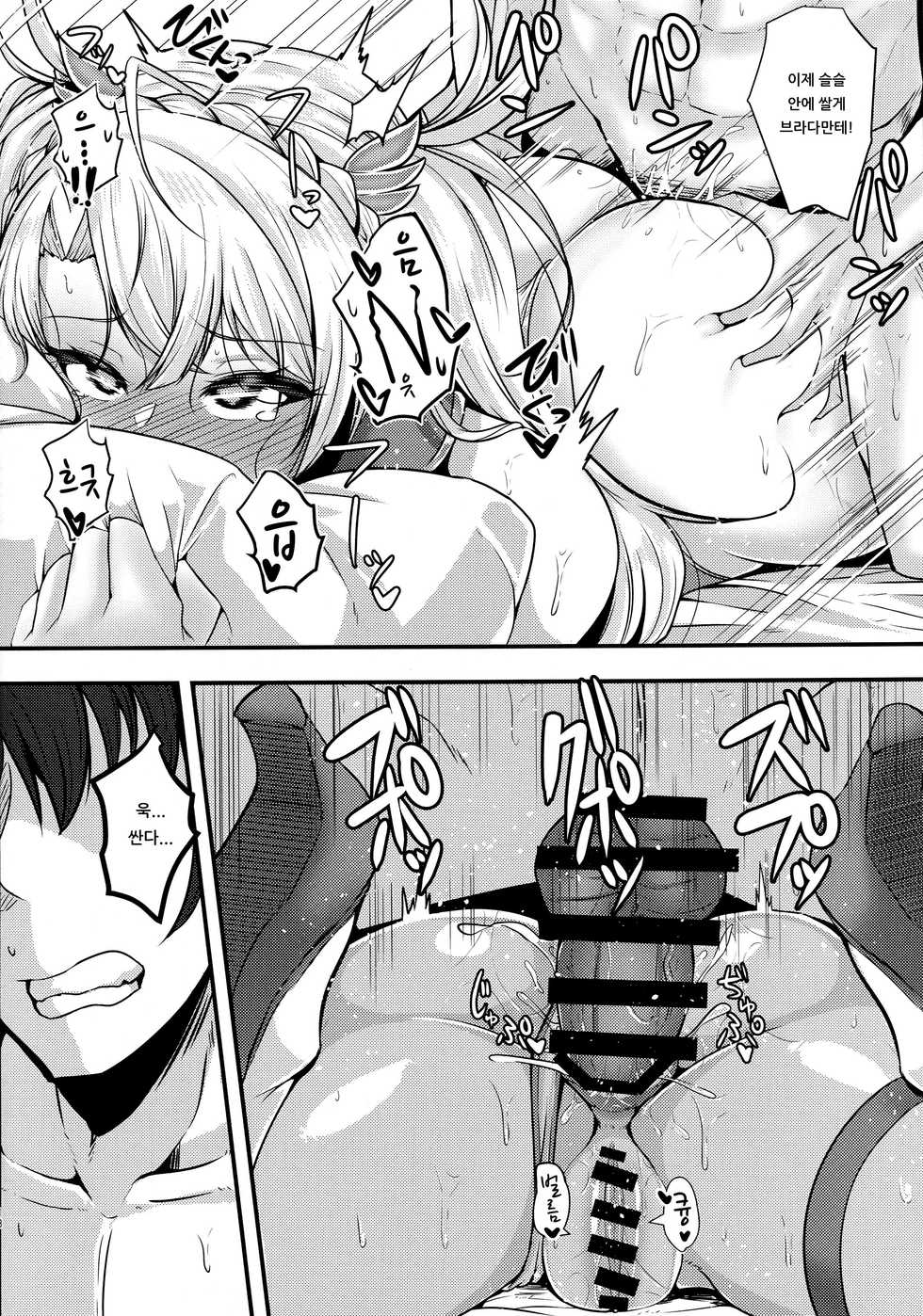 (COMIC1☆15) [Ryousangata Ponyta (Takanotume)] Bradamante ga Oshiri de OnaSuppo Suru Hon | 브라다만테가 엉덩이로 자위 서포트하는 책 (Fate/Grand Order) [Korean] [아이카츠! 갤러리] - Page 17