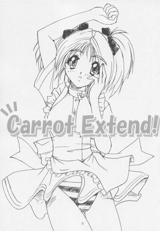 [Naniwa Onsen Tamago Kumiai (Katsumi Kouichi)] Carrot Extend! (Pia Carrot e Youkoso!!) - Page 2