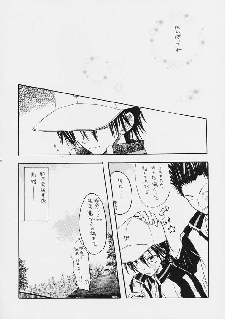 (C60) [LOVERS HYPER DRIVE] O-GAME (Prince of Tennis) - Page 15