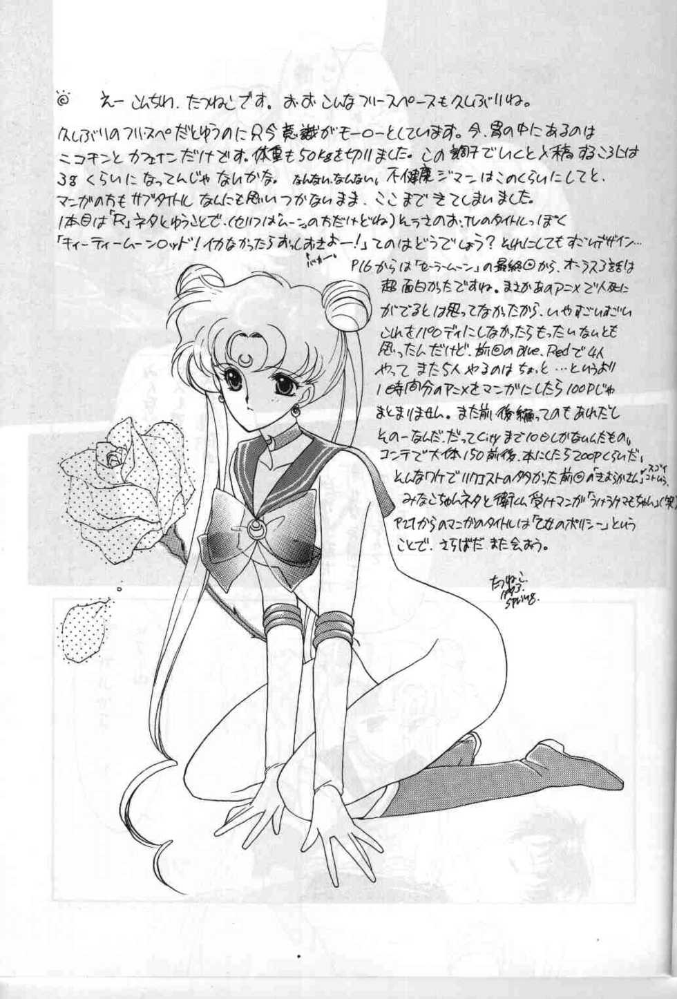 (CR13) [Kotatsuya (Tatsuneko)] SAILORS ORANGE VERSION (Bishoujo Senshi Sailor Moon) - Page 15