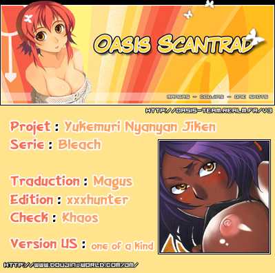 (C70) [Todd Special (Todd Oyamada)] Yukemuri NyanNyan Jiken (Bleach) [French] [O-S] - Page 35