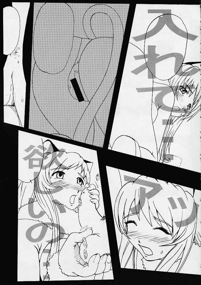 (C60) [ROMANCEGRAY (funamuku)] Mon Petit Honeymoon (Sakura Taisen 3) - Page 15