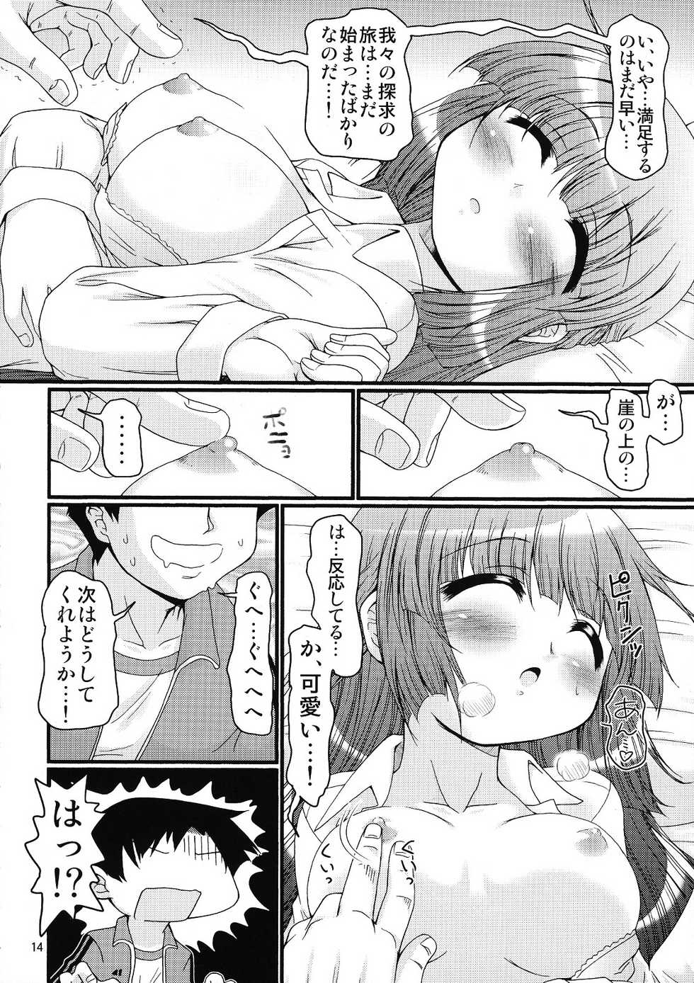 (C76) [FESTA. (Yoshitani Ganjitsu)] Tokumori Priceless (Hidamari Sketch) - Page 13