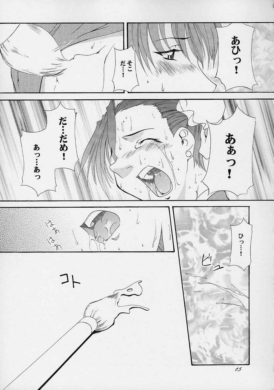 (C61) [F.A (Honoutsukai)] Haru VS 2 (Street Fighter, King of Fighters, Samurai Spirits) - Page 14