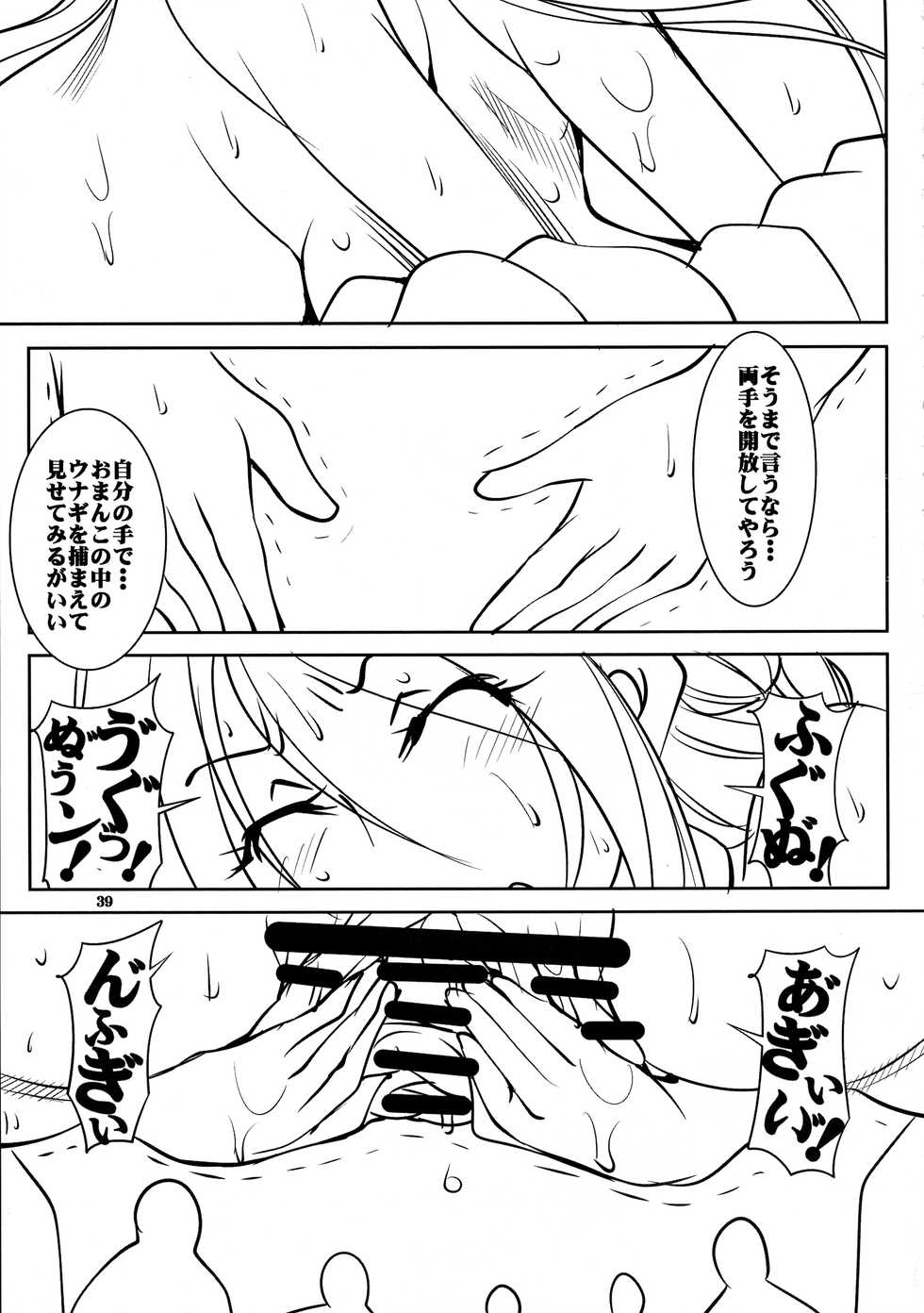 (C96) [Algolagnia (Mikoshiro Honnin)] Quest of Curse Dai 3-shou - Page 39