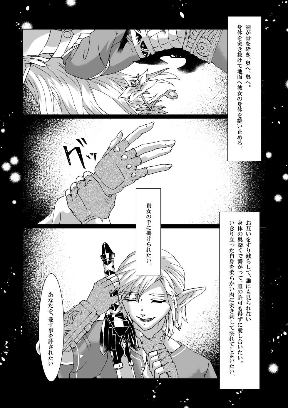 [MYLAB (Shiroa Urang)] Muphrid (The Legend of Zelda) [Digital] - Page 10