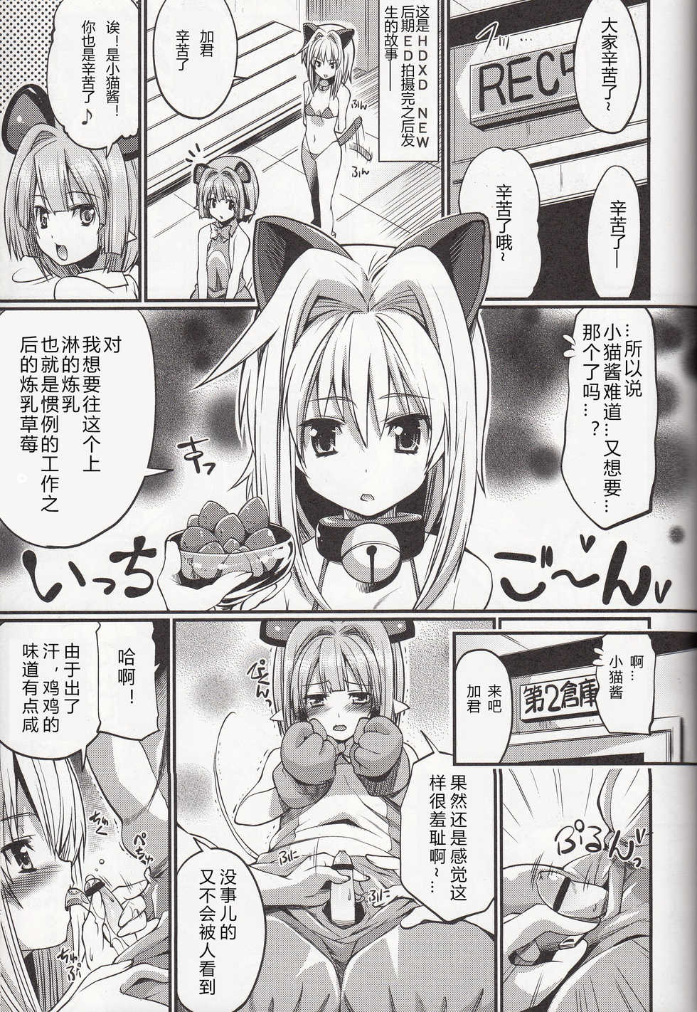 (C85) [Z-TABUKURONEKO HOUSE (Gyonikun)] Koneko-tan to, Gasper-kyun (Highschool DxD) [Chinese] [裁秘汉化] - Page 3