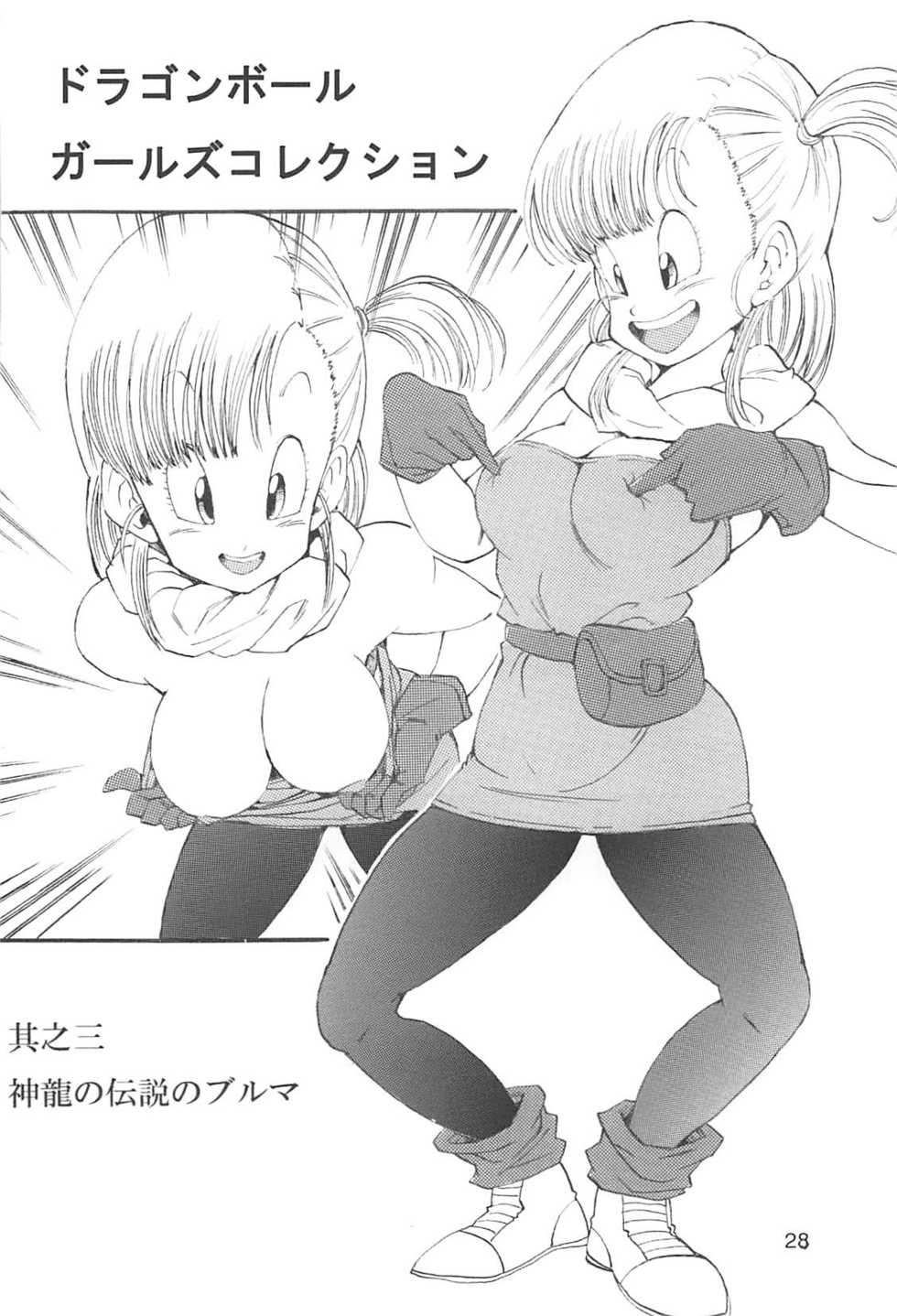 [Monkees (Young Jijii)] Dragon Ball Girls Collection 1 Fukkokuban (Dragon Ball Z) [Chinese] [HubJohn&不咕鳥漢化] - Page 29