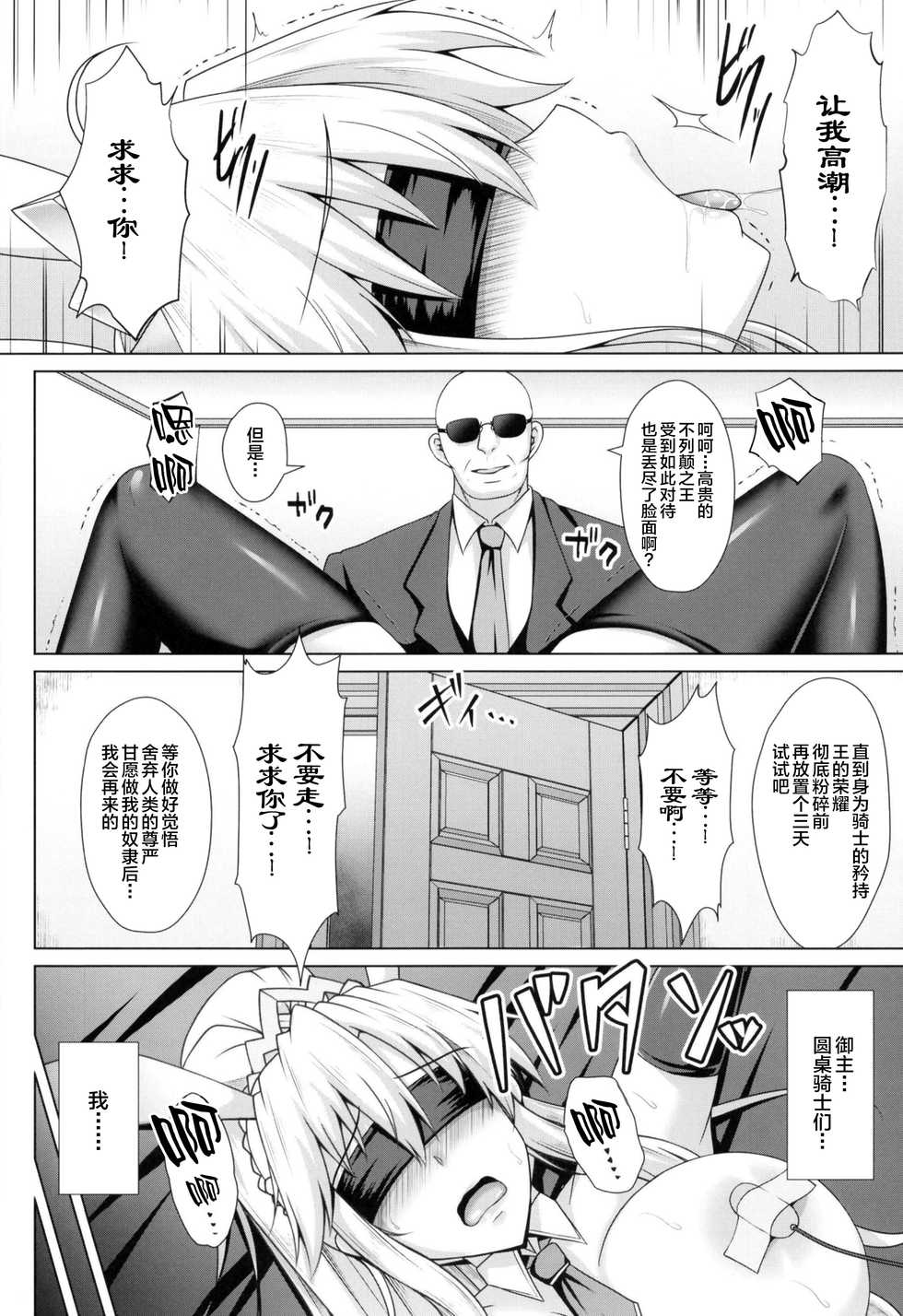 [Taishou Romanesque (Toono Suika)] Shishi ga Usagi ni Ochiru Toki (Fate/Grand Order) [Chinese] [黎欧x新桥月白日语社] [Digital] - Page 14