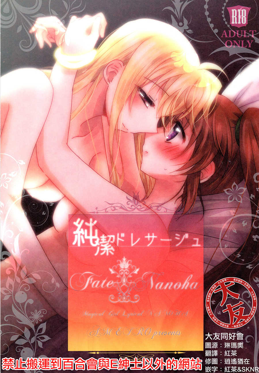 (C93) [Ameiro (Nanashiki)] Junketsu Dressage | Innocent Dressage (Mahou Shoujo Lyrical Nanoha) [Chinese] [大友同好会] - Page 1