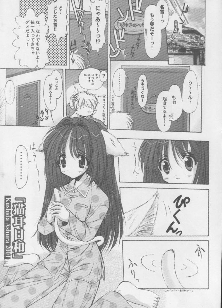 [ASYURAYA (Kushida Ashura)] Neko Neko Hot (Kanon) - Page 6