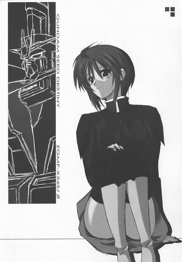 (C68) [Raiden Yashiki (Yamaura Tamaki)] Lunamaria Shugi Z | Principle of Lunamaria Z (Gundam SEED DESTINY) - Page 16
