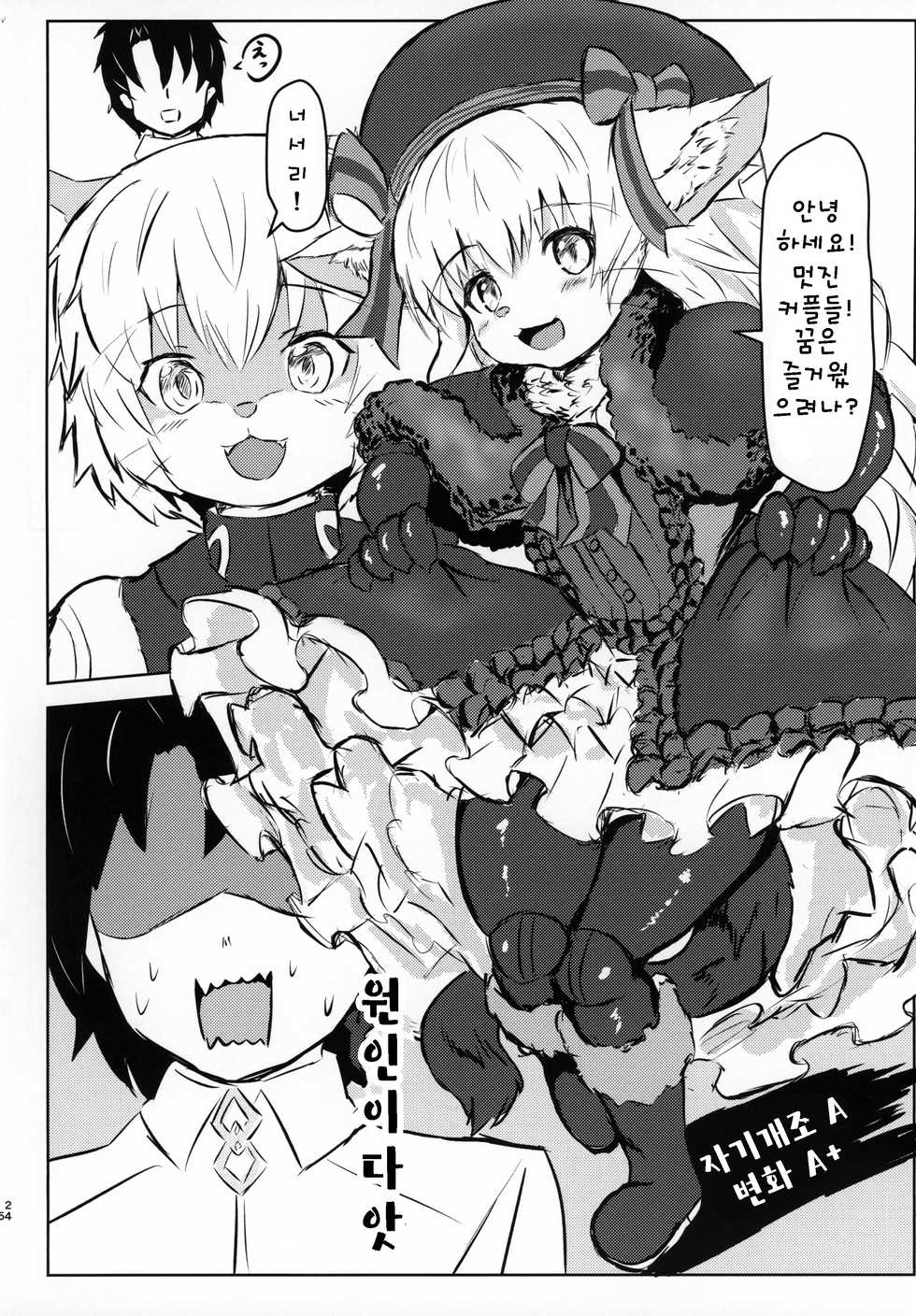 (C96) [Edge Diver (Ooba Jun)] Jack-chan ga Neko ni Natte Master to Nakayoshi Suru Hon Mama no Mimi Giten | 잭쨩이 고양이가 돼서 마스터와 사이좋게 노는책 엄마의 귀 외경 (Fate/Grand Order) [Korean] [TeamHT] - Page 25