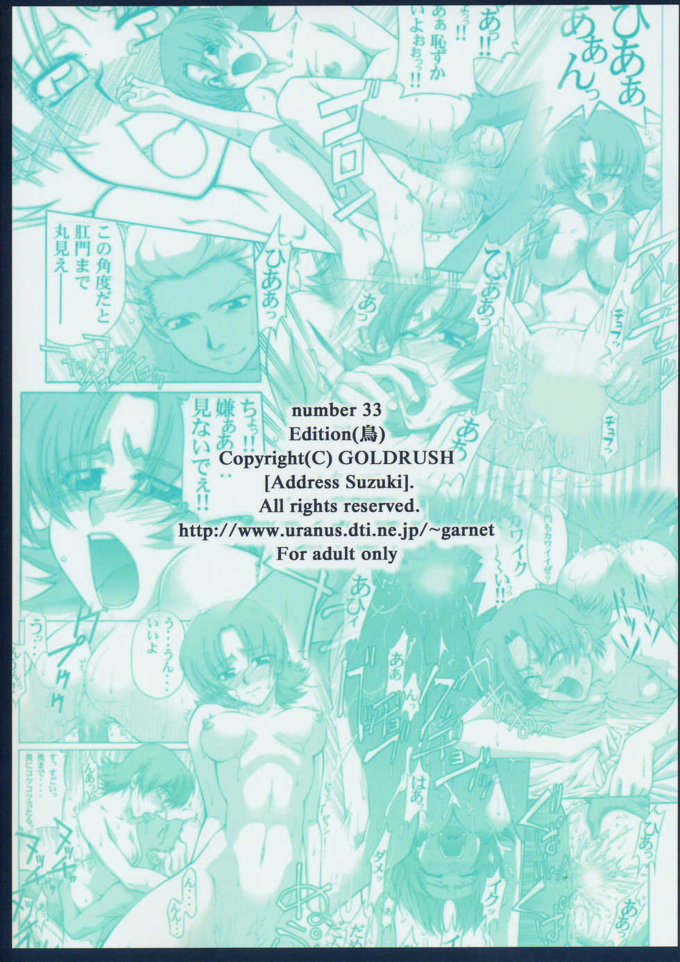 (C66) [GOLD RUSH (Suzuki Address)] Edition (Tori) (Gundam SEED) - Page 34