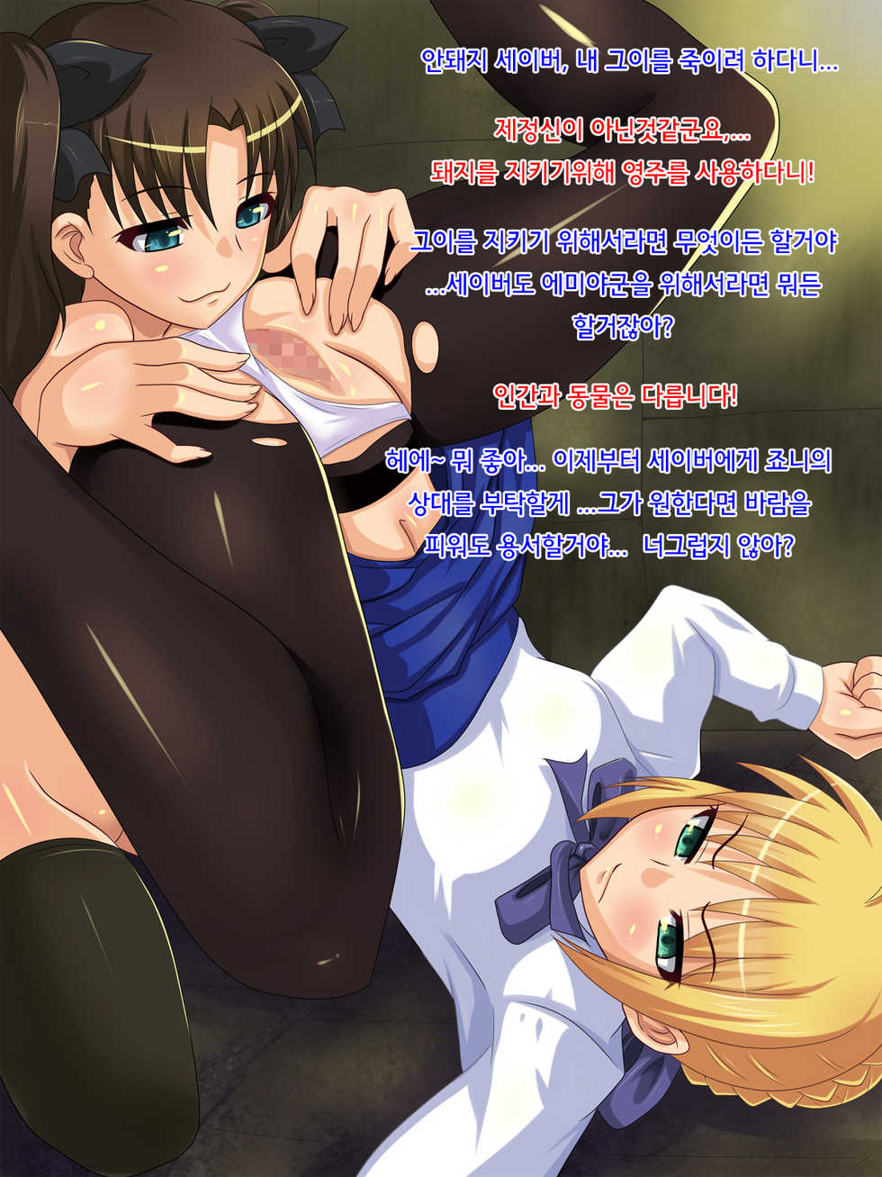 [Junkin] Buta ni Otosareta Onna-tachi (Fate stay night) [Korean] - Page 17