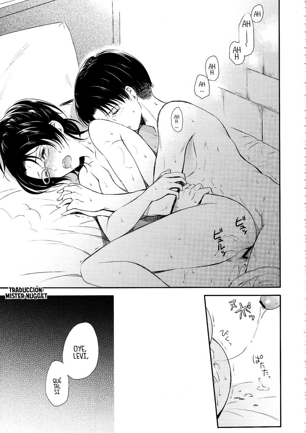 (SPARK8) [Affix (Ha-ru)] World End (Shingeki no Kyojin) [Spanish] [Mr. Nugget] - Page 29