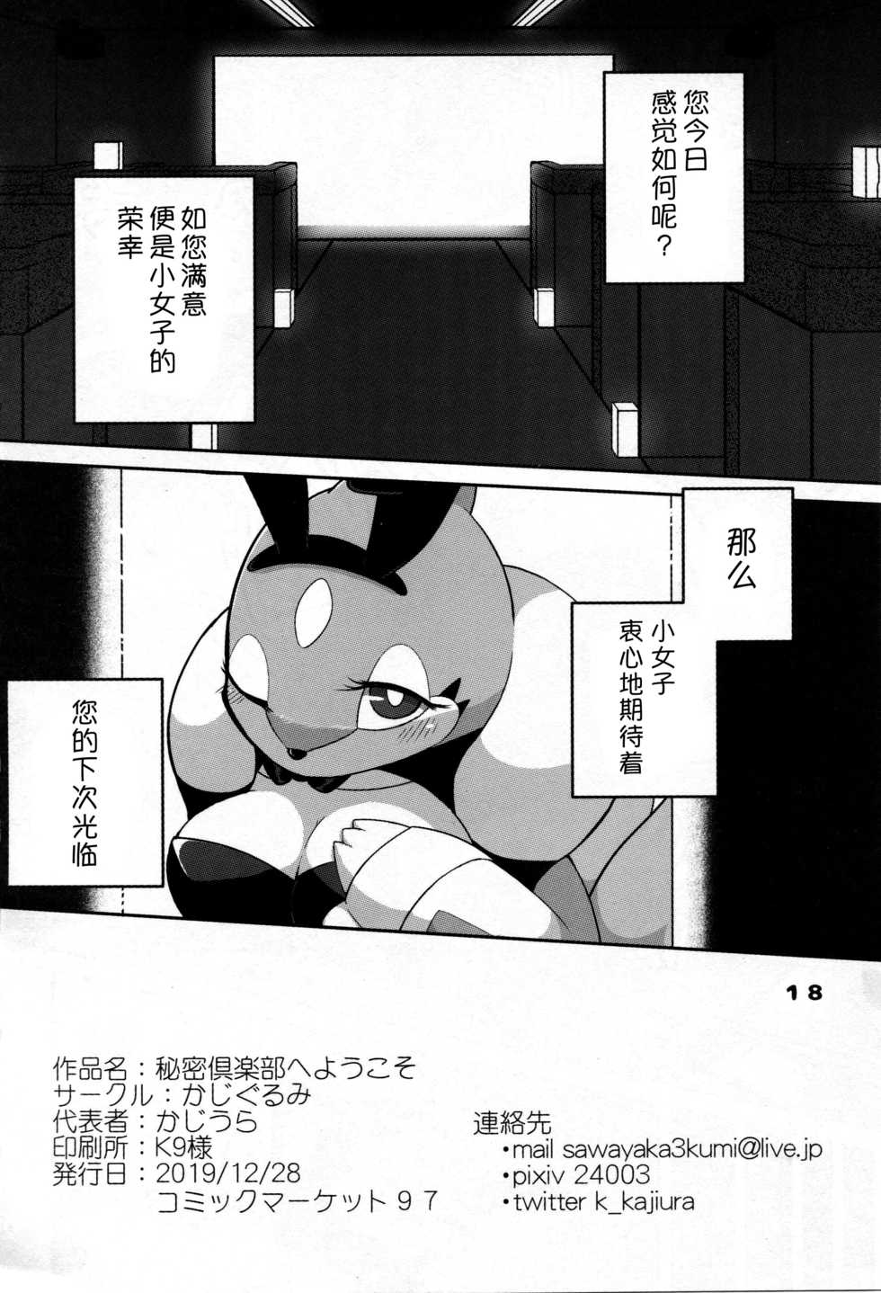 (C97) [Kajigurumi (Kajiura)] Himitsu Kurabu e Youkoso | 欢迎来到秘密俱乐部 (Pokémon) [Chinese] [尾窝汉化组] - Page 18