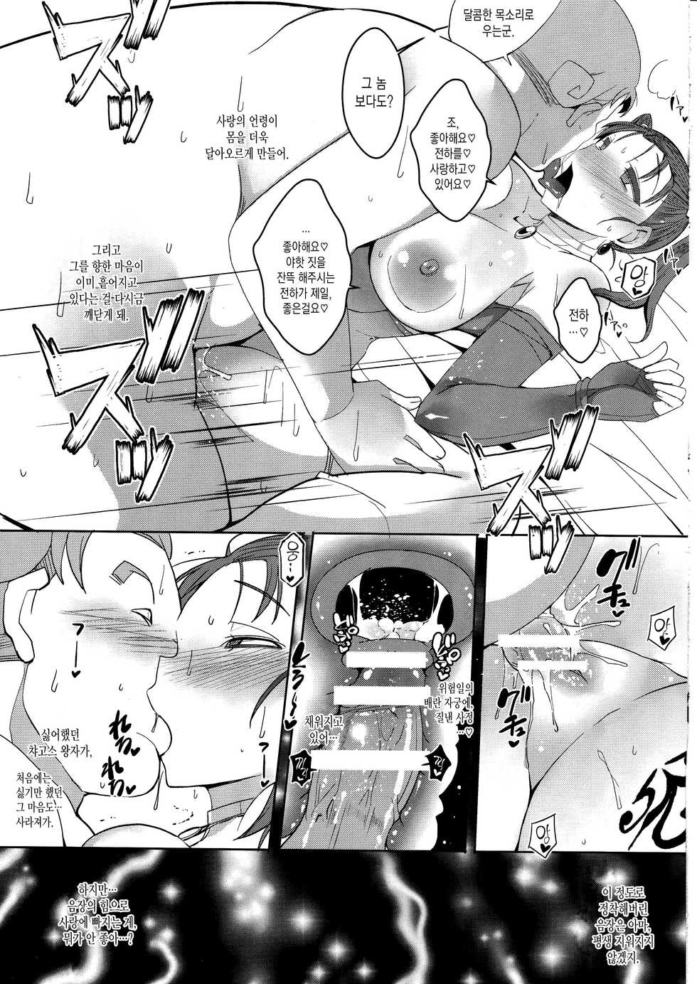 (C91) [YOMOTHUHIRASAKA (bbsacon)] Ochizuma no Inka -Futei no Syo (Dragon Quest VIII) [Korean] - Page 18