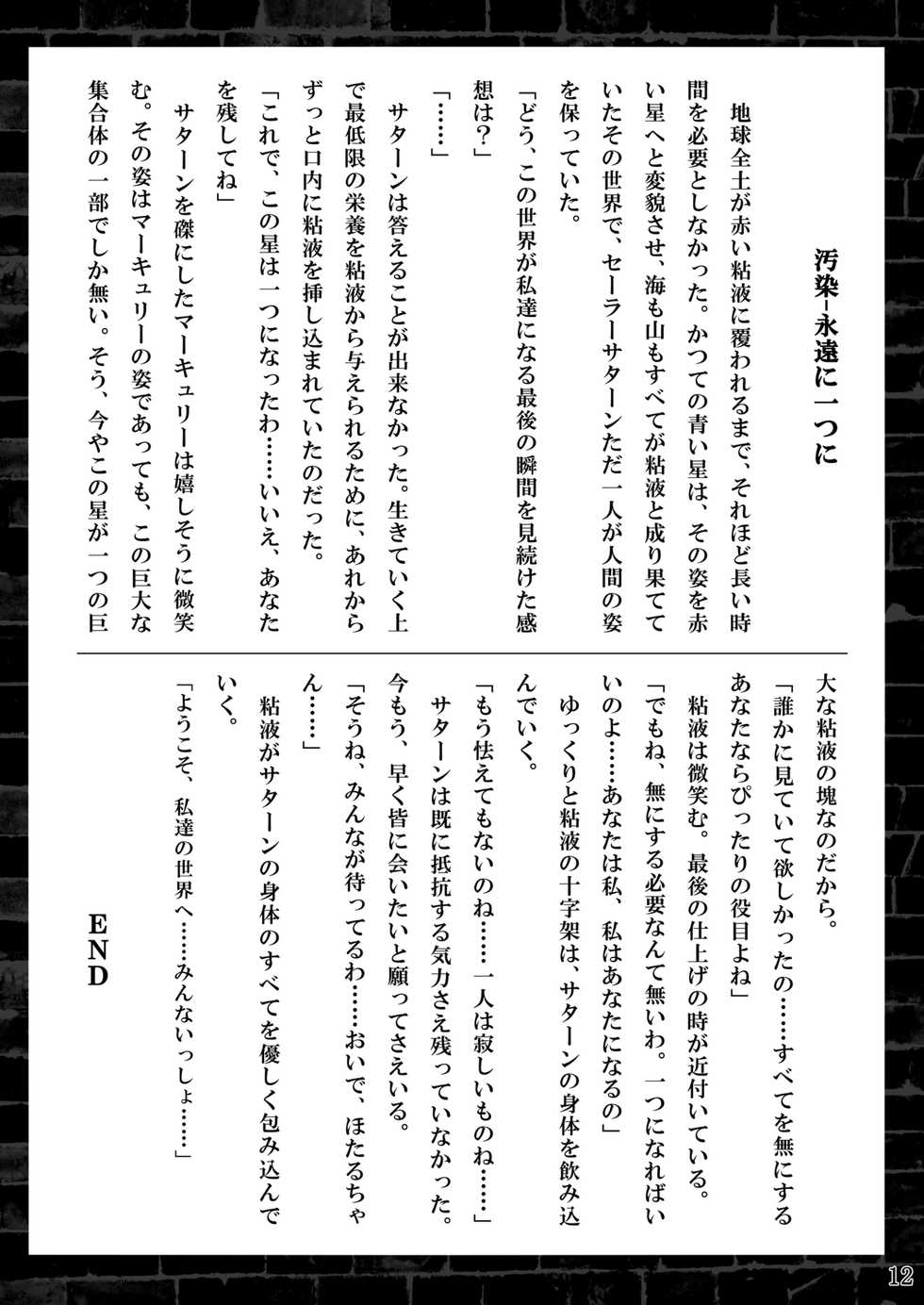 [Daraku Jiko Chousa Iinkai (Sch-mit)] Suisei Osen 3 (Bishoujo Senshi Sailor Moon) [Digital] - Page 11