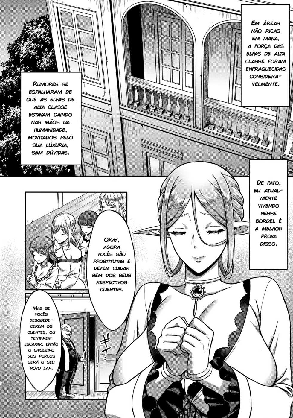 (C93) [H.B.A (Usagi Nagomu)] Tasogare no Shou Elf [Portuguese-BR] [zk3y] - Page 9