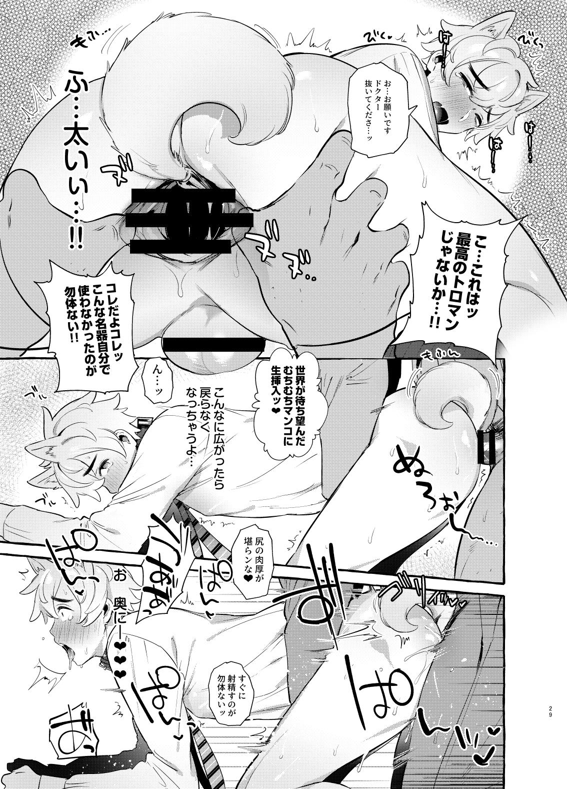 [Otosan no Kurorekishi (Maemukina Do M)] Wanwan Otou-san 3 - Page 29