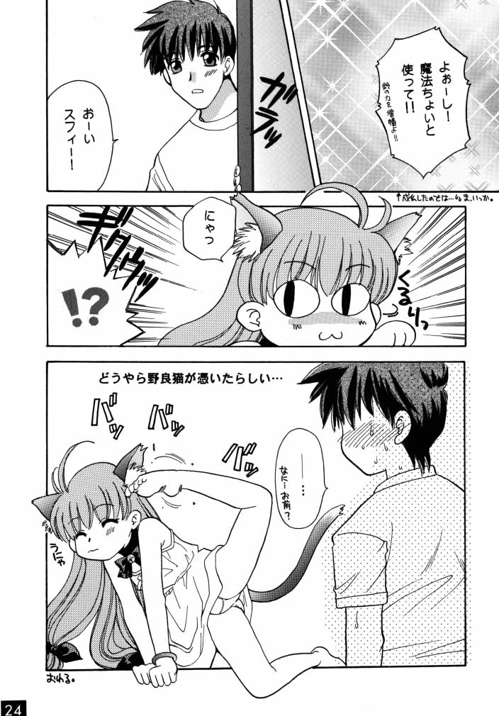 (C58) [M-10 (Kurokawa Mio)] Majikayo Antique (To Heart, Magical Antique) - Page 23