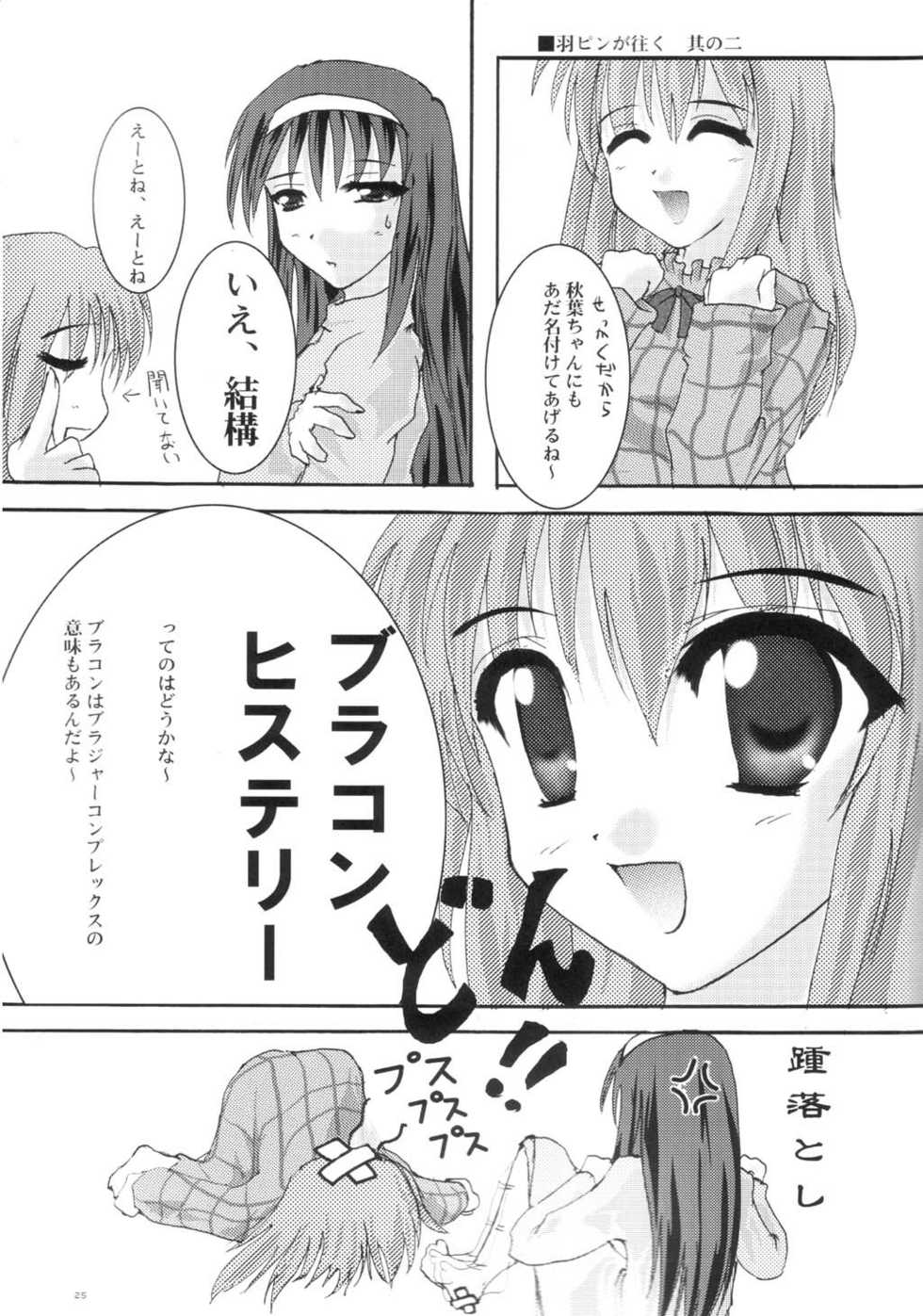 [A' (bebe)] Shinnen Fuyutsuki (Tsukihime) - Page 24