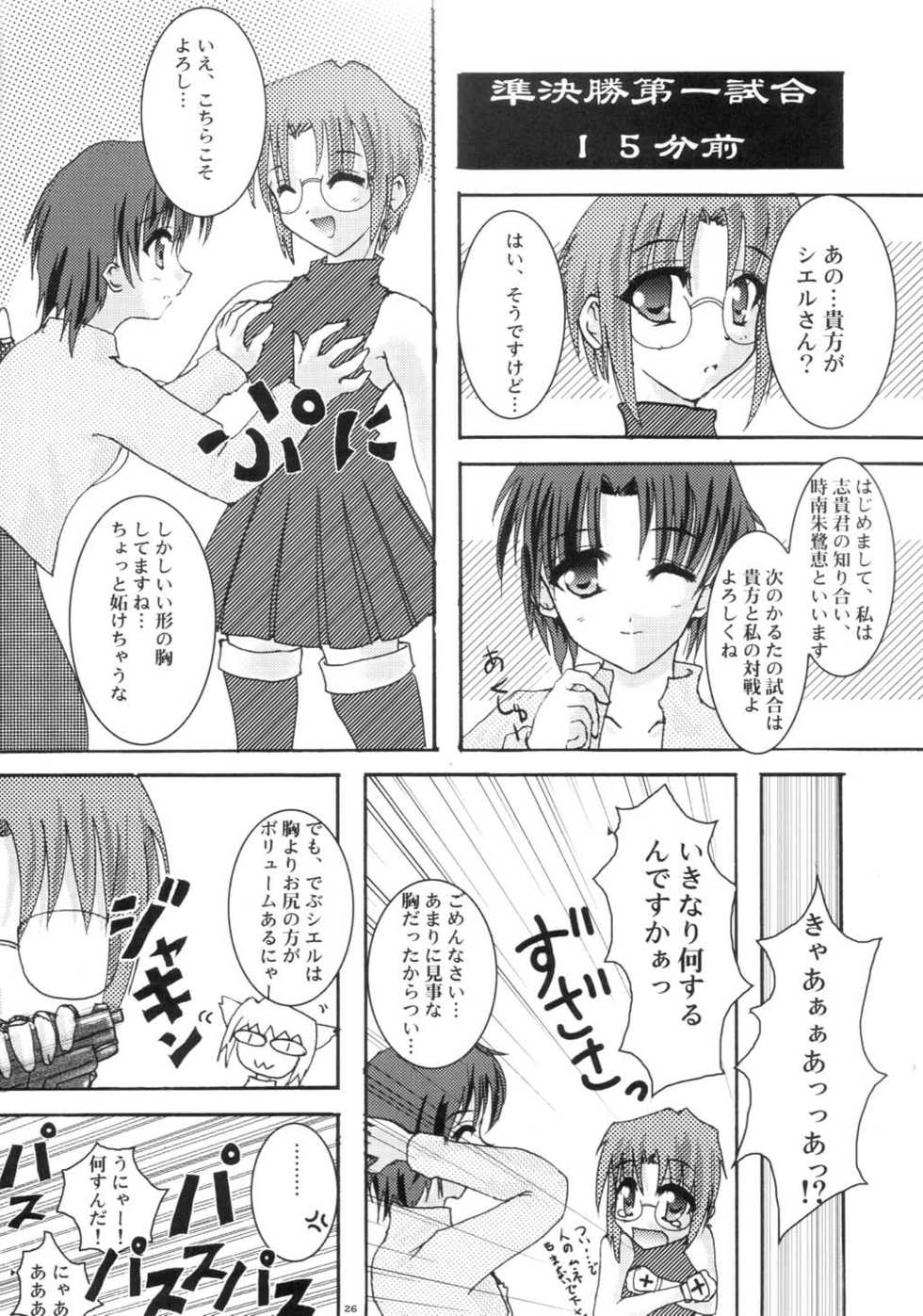 [A' (bebe)] Shinnen Fuyutsuki (Tsukihime) - Page 25