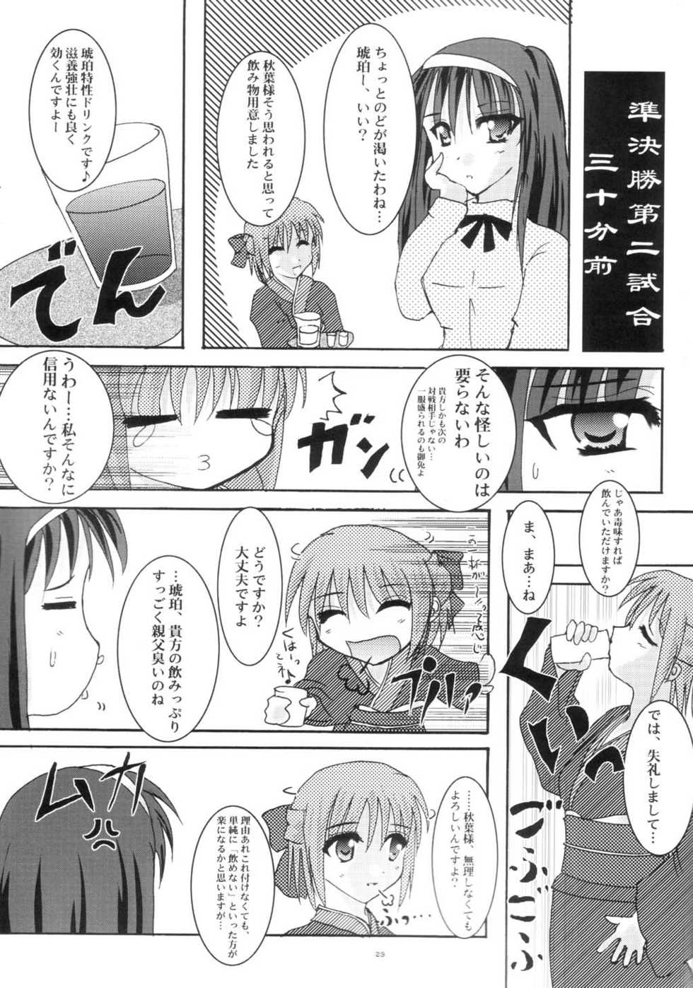 [A' (bebe)] Shinnen Fuyutsuki (Tsukihime) - Page 28