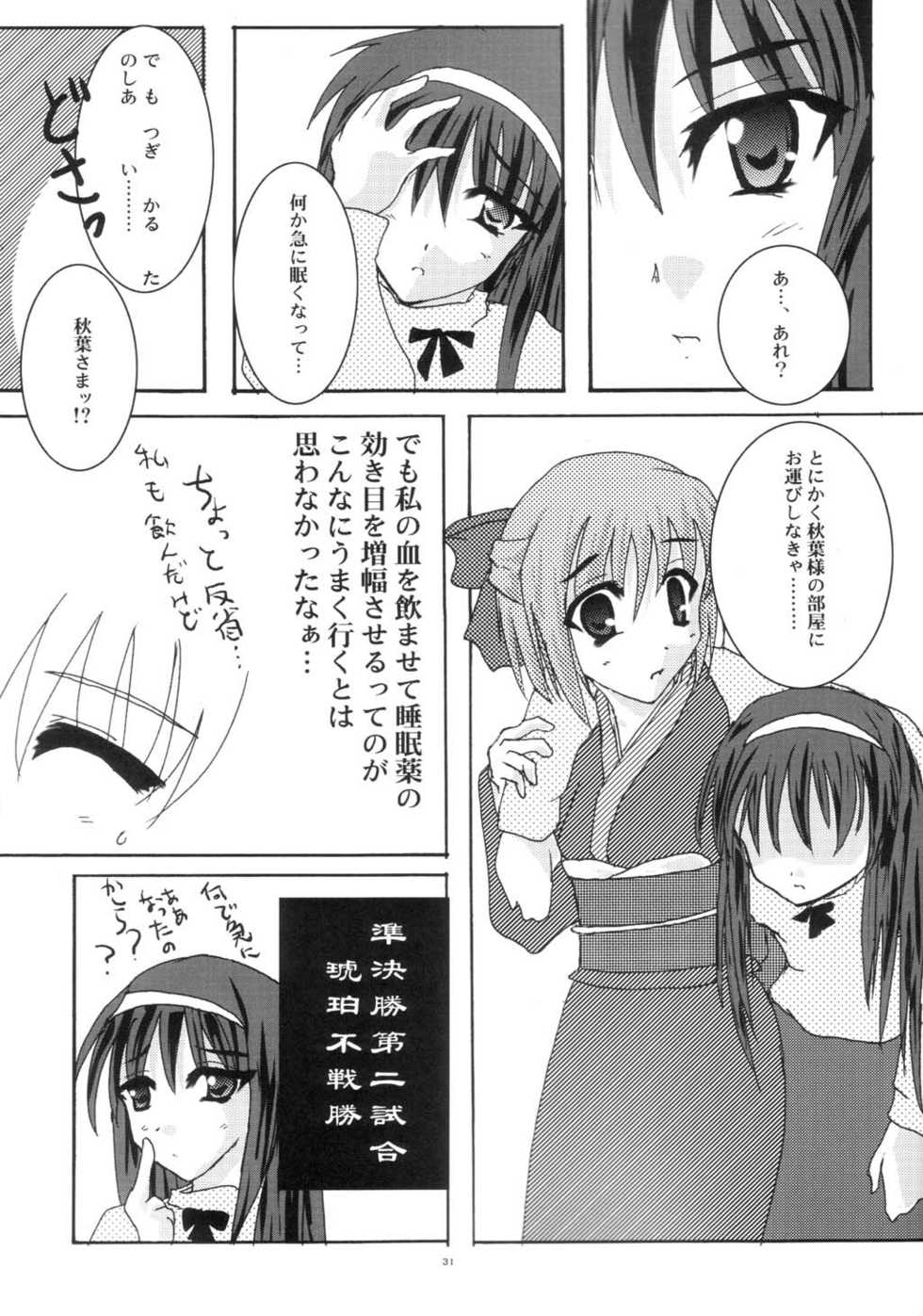 [A' (bebe)] Shinnen Fuyutsuki (Tsukihime) - Page 30
