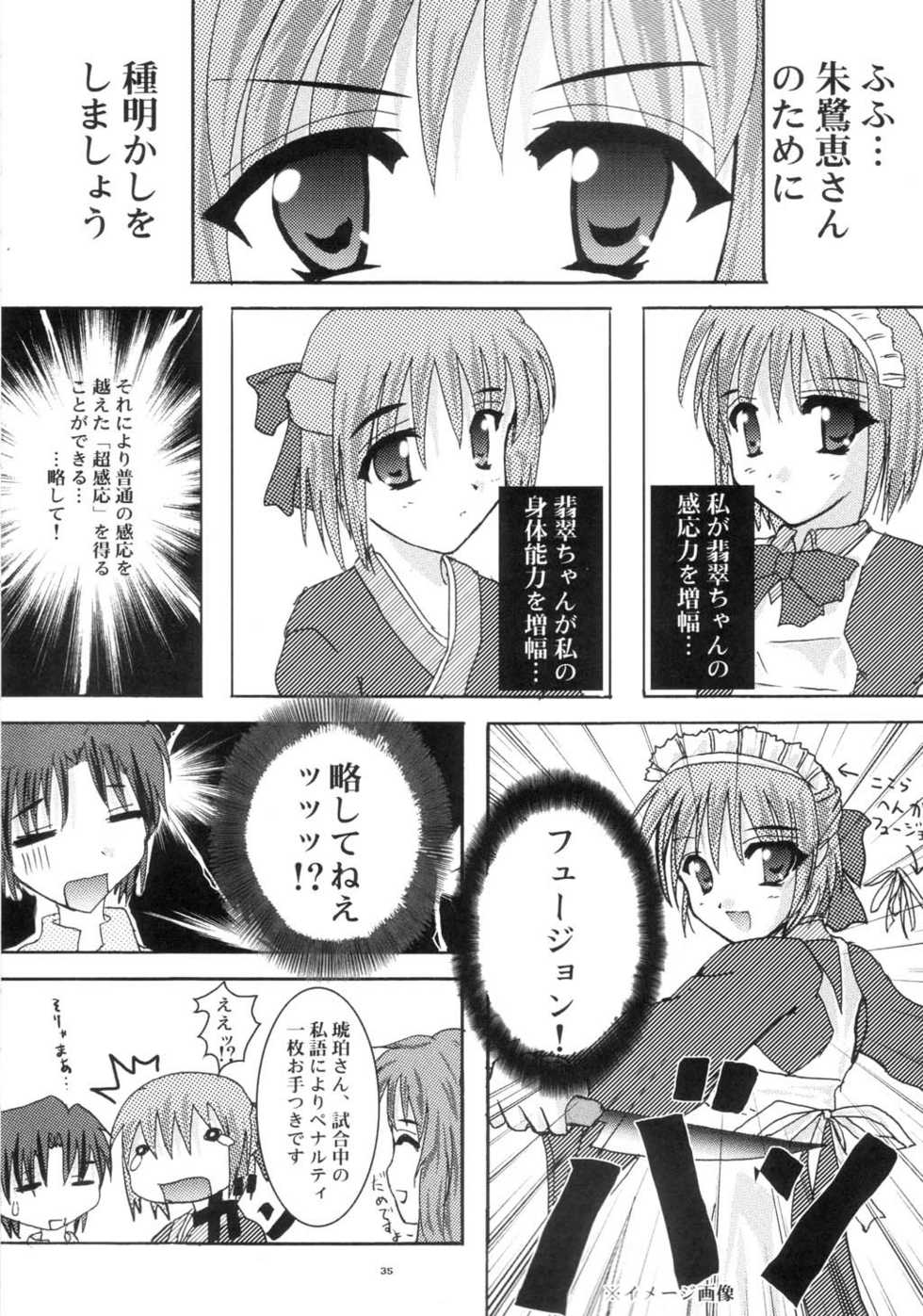[A' (bebe)] Shinnen Fuyutsuki (Tsukihime) - Page 34