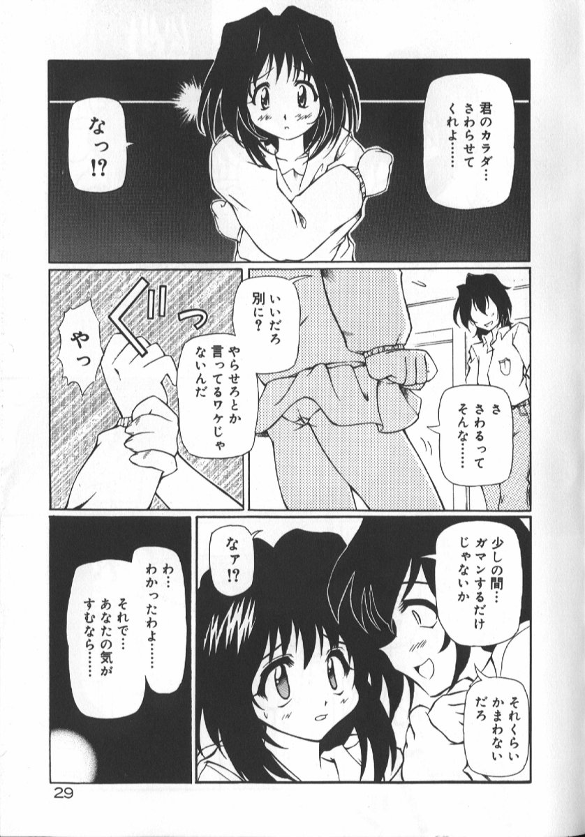 [Yasui Hirosato] Gekkoukan Gikyoku - Page 31