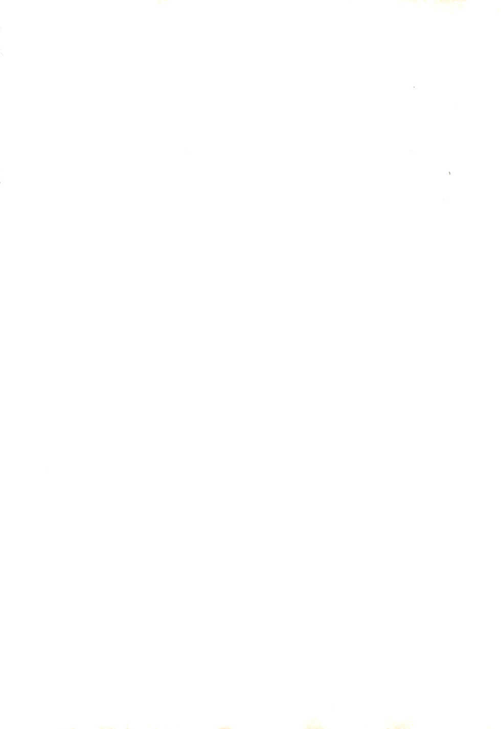 [Sagami Jun Hogo Ikusei Kyoukai (Various)] Kodomo no Rakuen (Bakusou Kyoudai Lets & Go!!) - Page 2