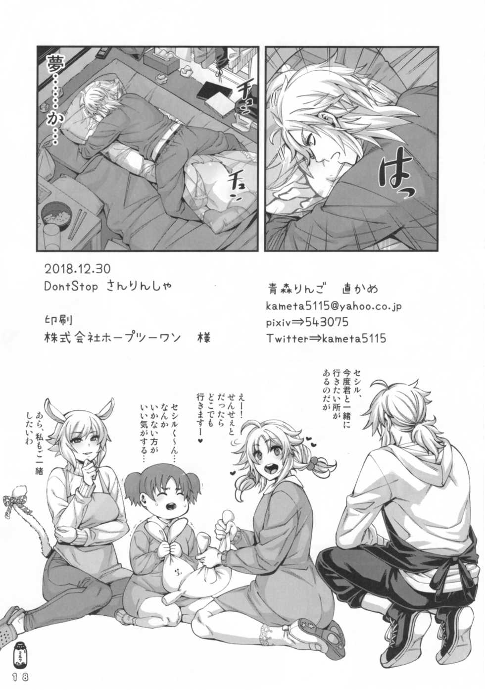 (C95) [Aomori Ringo (Naokame)] Don't Stop Sanrinsha (Final Fantasy) - Page 19
