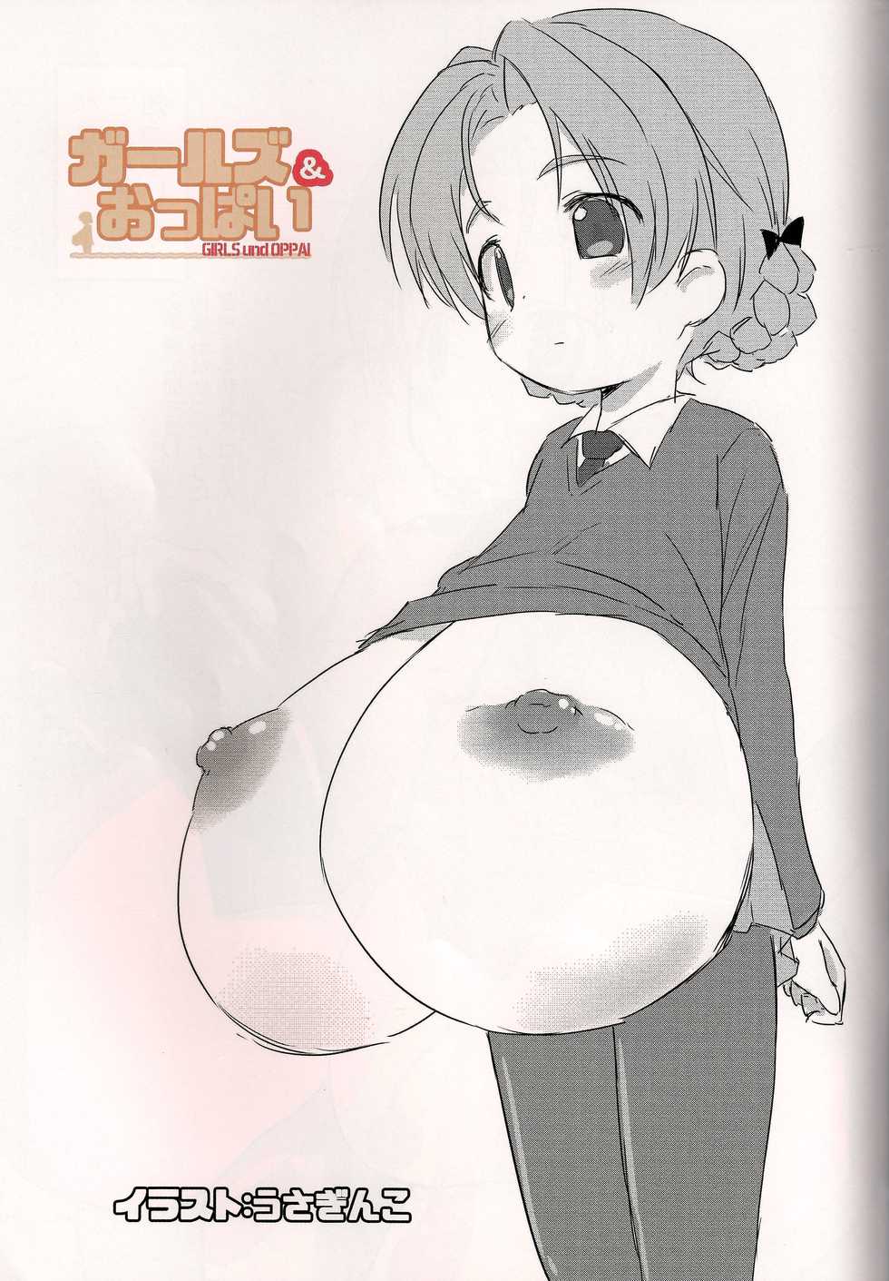 (C93) [Yakihata Nyuugyou (Various)] Bakunyuu/Chounyuu Goudoushi Gounyuu! Vol. 2 - Page 20