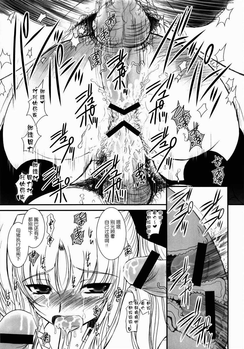 (C76) [DIEPPE FACTORY Darkside (Alpine)] Fate fire with fire Book III (Mahou Shoujo Lyrical Nanoha) [Chinese] [新桥月白日语社] - Page 17