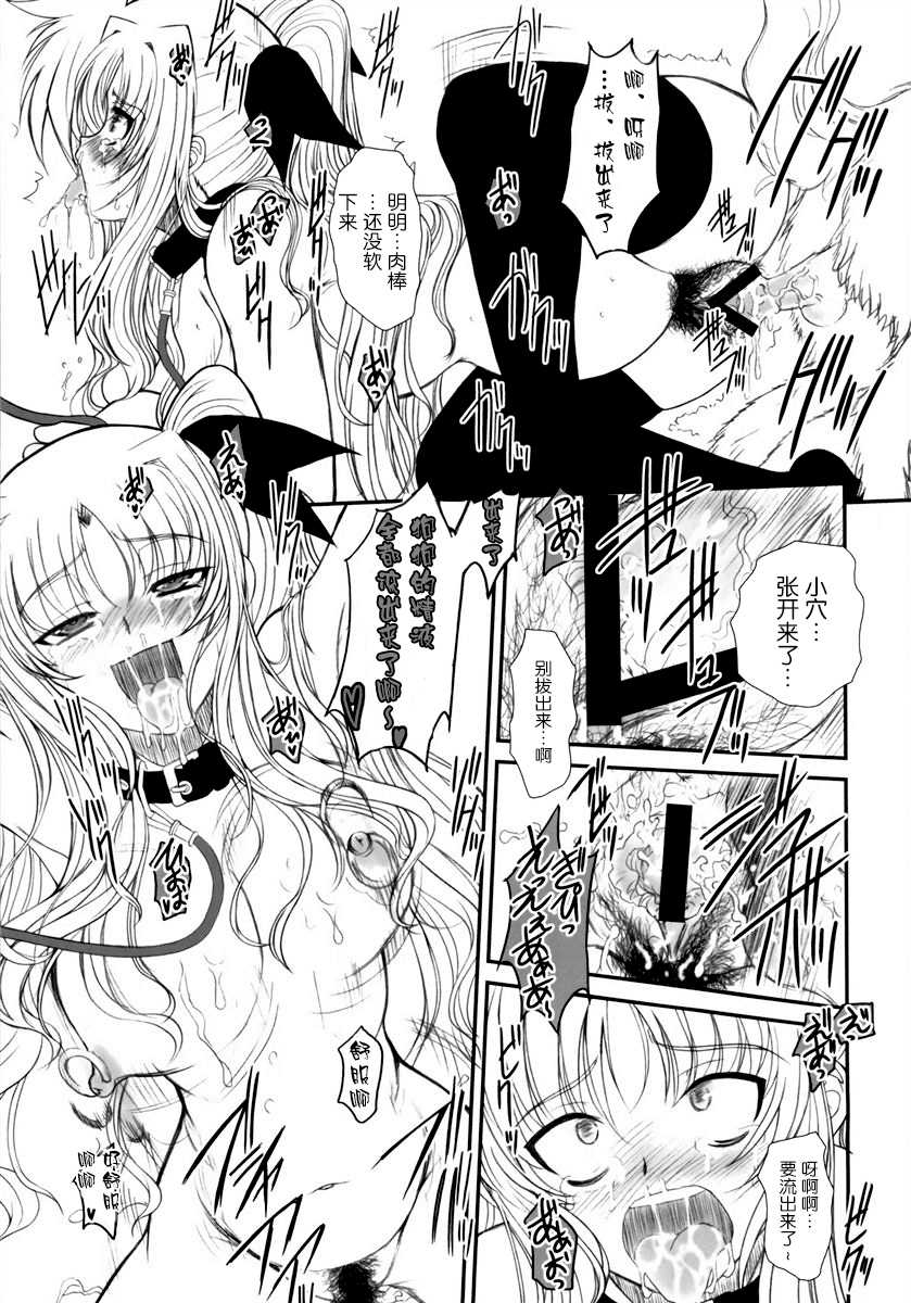 (C76) [DIEPPE FACTORY Darkside (Alpine)] Fate fire with fire Book III (Mahou Shoujo Lyrical Nanoha) [Chinese] [新桥月白日语社] - Page 29