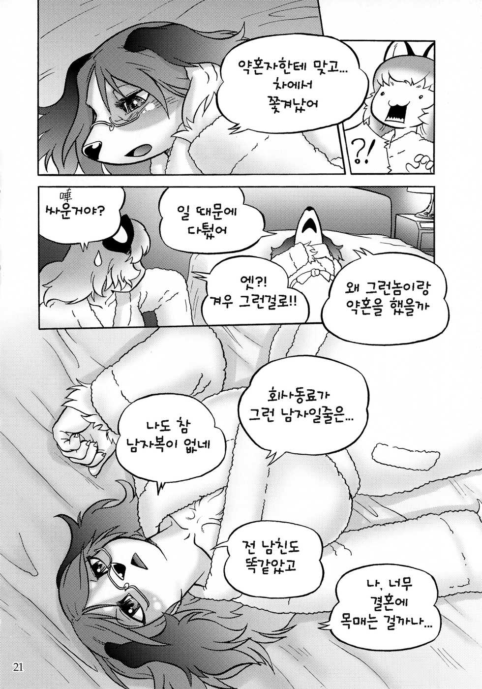 (C85) [Flash Point (Various)] Fulily [Korean] [Dead Is Land] - Page 20
