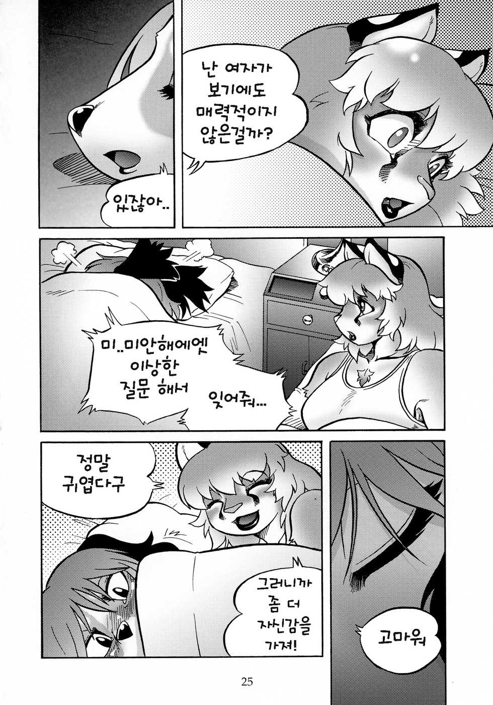 (C85) [Flash Point (Various)] Fulily [Korean] [Dead Is Land] - Page 24