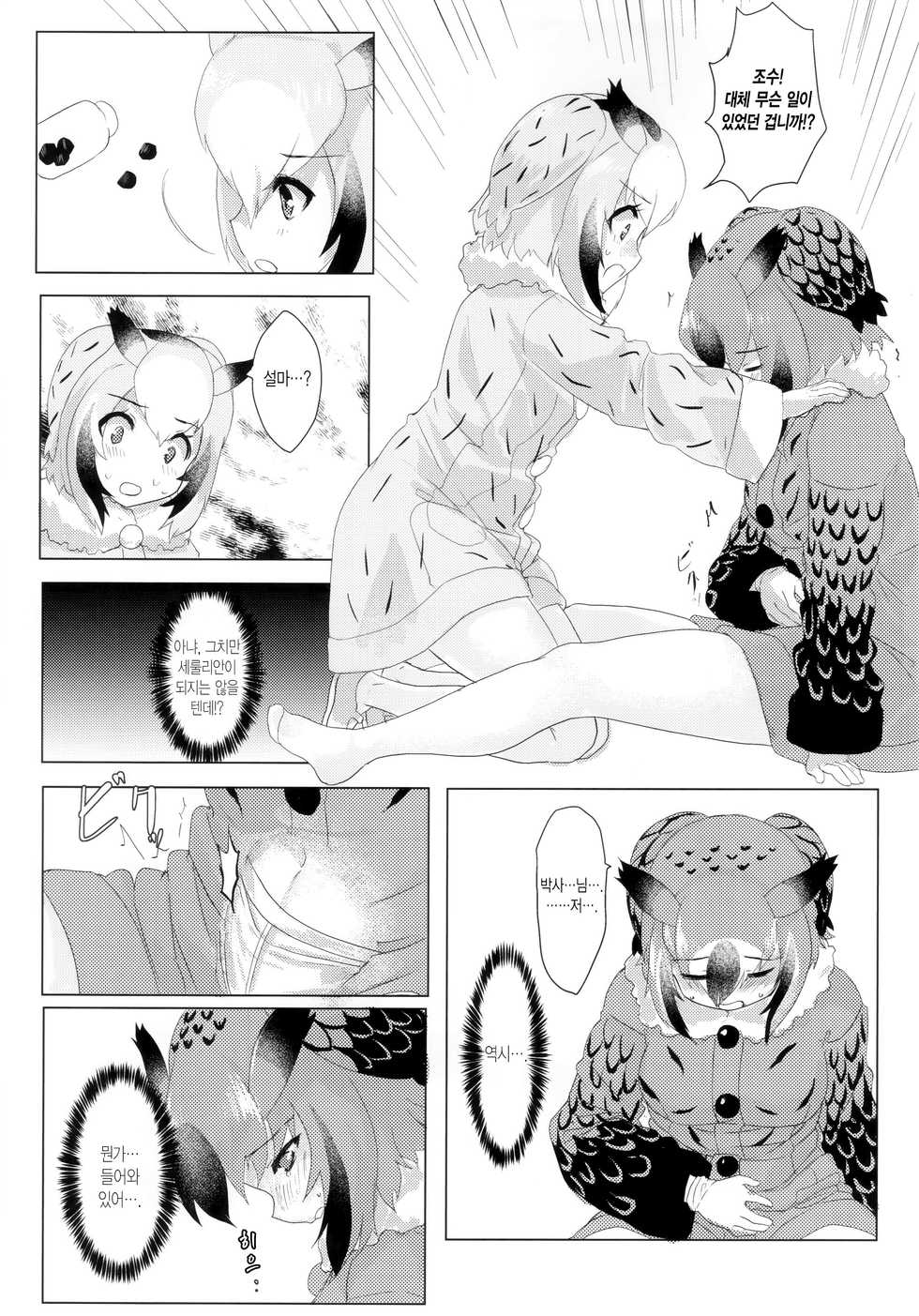 (C97) [Tokkun Dogeza (Tadano Magu)] CURIOSITY (Kemono Friends) [Korean] - Page 15