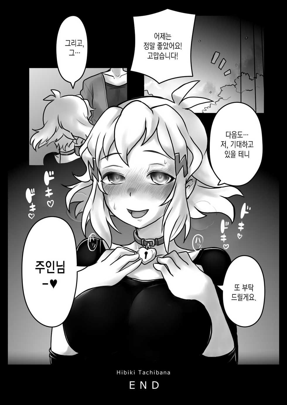 [185 Souko (581)] Hana wa Hibiite Ochiru (Senki Zesshou Symphogear) [Korean] [MMG] [Digital] - Page 29